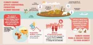 Dampak Perubahan Iklim pada Pertanian: Ancaman Nyata dan Strategi Adaptasi