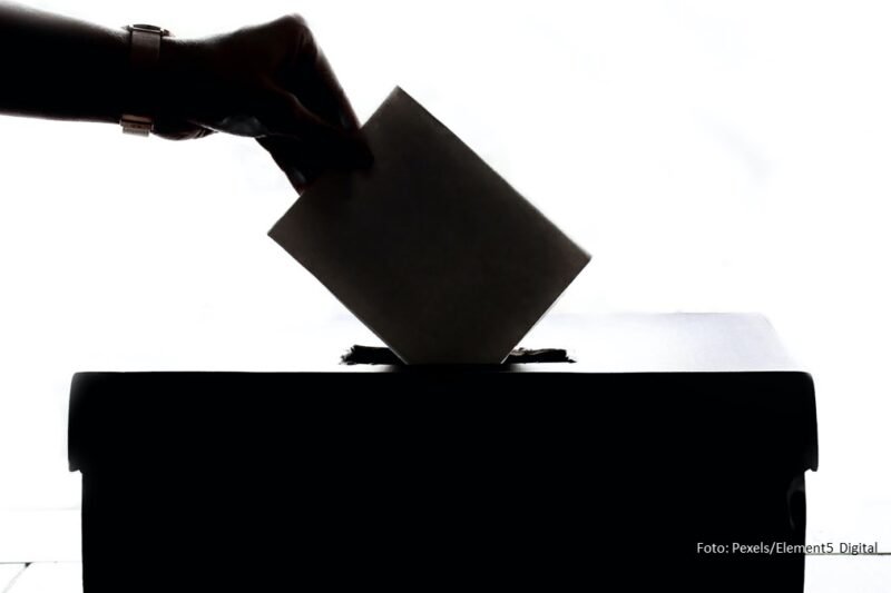 Figur publik di pemilu 2025