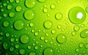 Green Policy 2025: Membangun Masa Depan Berkelanjutan