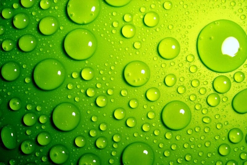 Green Policy 2025: Membangun Masa Depan Berkelanjutan