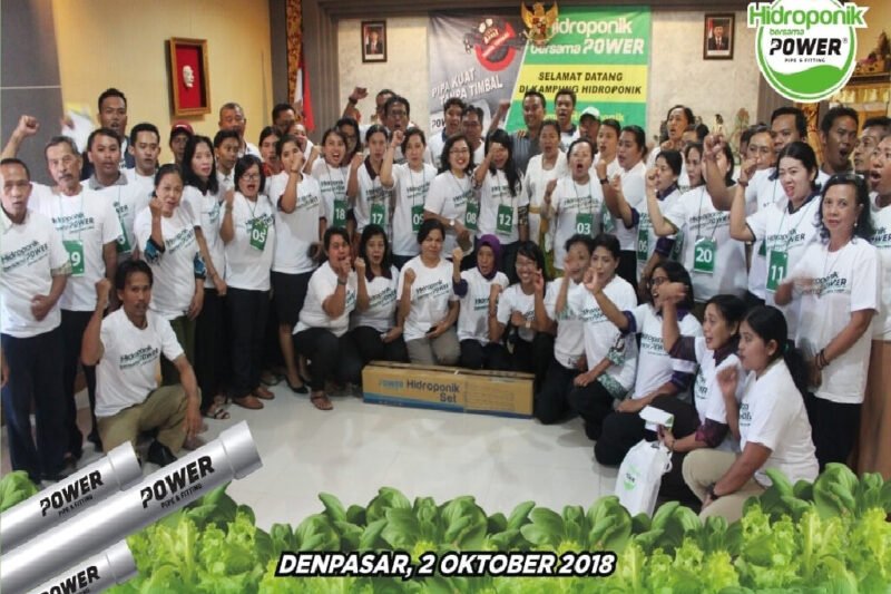 Hidroponik: Solusi Hijau untuk Masa Depan Lingkungan yang Lebih Baik