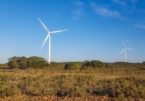 Politik Energi Hijau 2025: Momentum Krusial Transformasi Berkelanjutan