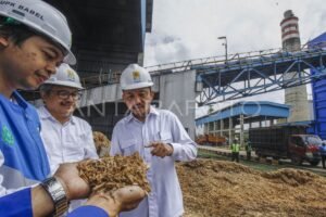 Politik Energi Terbarukan 2025: Antara Ambisi, Realitas, dan Tantangan Global