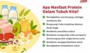 Protein Shake: Sahabat Terbaik Otot Anda