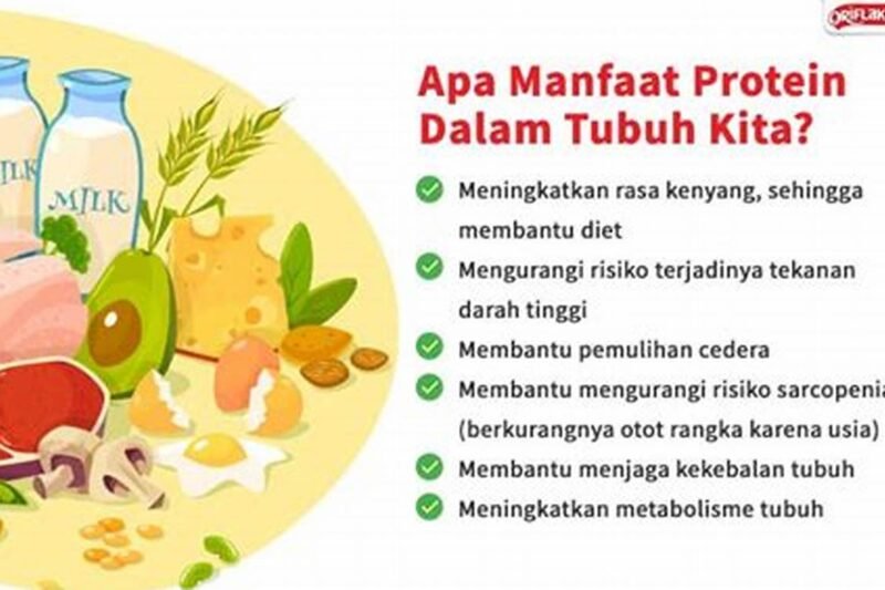 Protein Shake: Sahabat Terbaik Otot Anda
