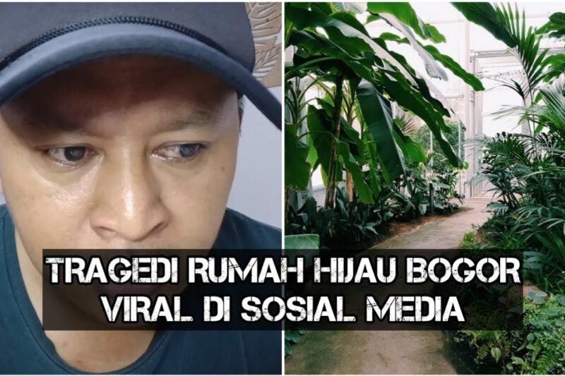 Tentu, mari kita bahas fenomena "Tragedi Viral" dalam sebuah artikel informatif dan mendalam.
