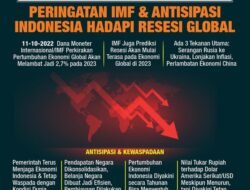 Menelisik Hubungan Pelik: Politik dan IMF dalam Lanskap Ekonomi Global