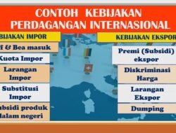 Politik dan Ekspor: Dua Sisi Mata Uang yang Saling Mempengaruhi
