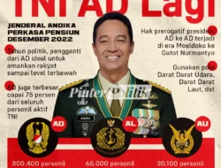 Politik TNI: Antara Profesionalisme dan Pengaruh di Era Reformasi
