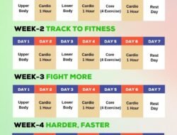 Menggali Lebih Dalam: Panduan Lengkap Fitness Challenge untuk Raih Kesehatan Optimal