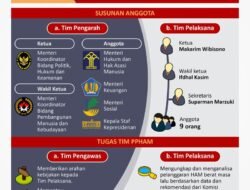 Politik dan HAM: Dua Sisi Mata Uang Demokrasi yang Tak Terpisahkan
