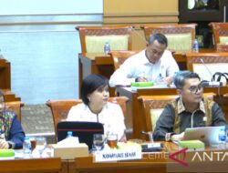 Politik dan Komnas HAM: Menjaga Independensi di Tengah Arus Kekuasaan