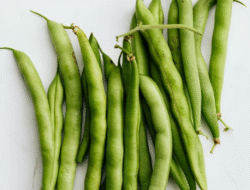 Lima Manfaat Penting Mengonsumsi Buncis Secara Rutin