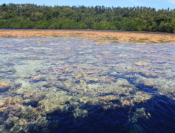 Menyelami Pesona Bunaken, Surga Laut di Manado