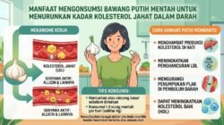 Manfaat Mengonsumsi Bawang Putih Mentah Untuk Menurunkan Kadar Kolesterol Jahat Dalam Darah