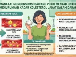 Manfaat Mengonsumsi Bawang Putih Mentah Untuk Menurunkan Kadar Kolesterol Jahat Dalam Darah