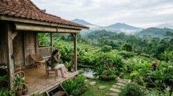 Rekomendasi Tempat Healing Paling Sunyi Di Pedesaan Wilayah Yogyakarta Yang Sangat Asri